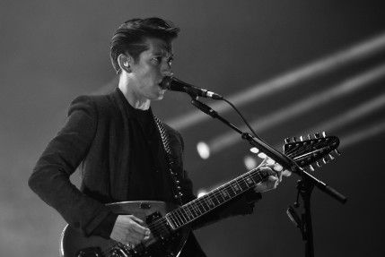 the wombats